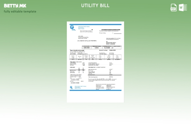 Модерен стил на USA Florida Power & Light Company (FPL) шаблон за комунални смет